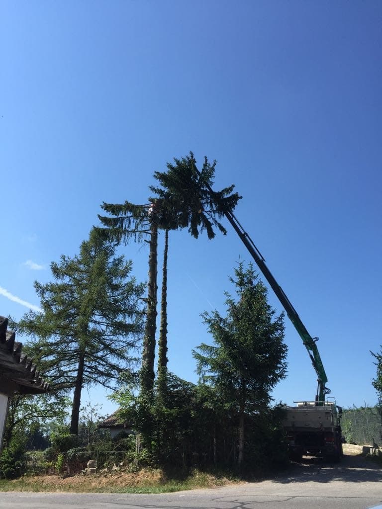 Abattage sécurisé avec grue - Services arboricoles Adenia