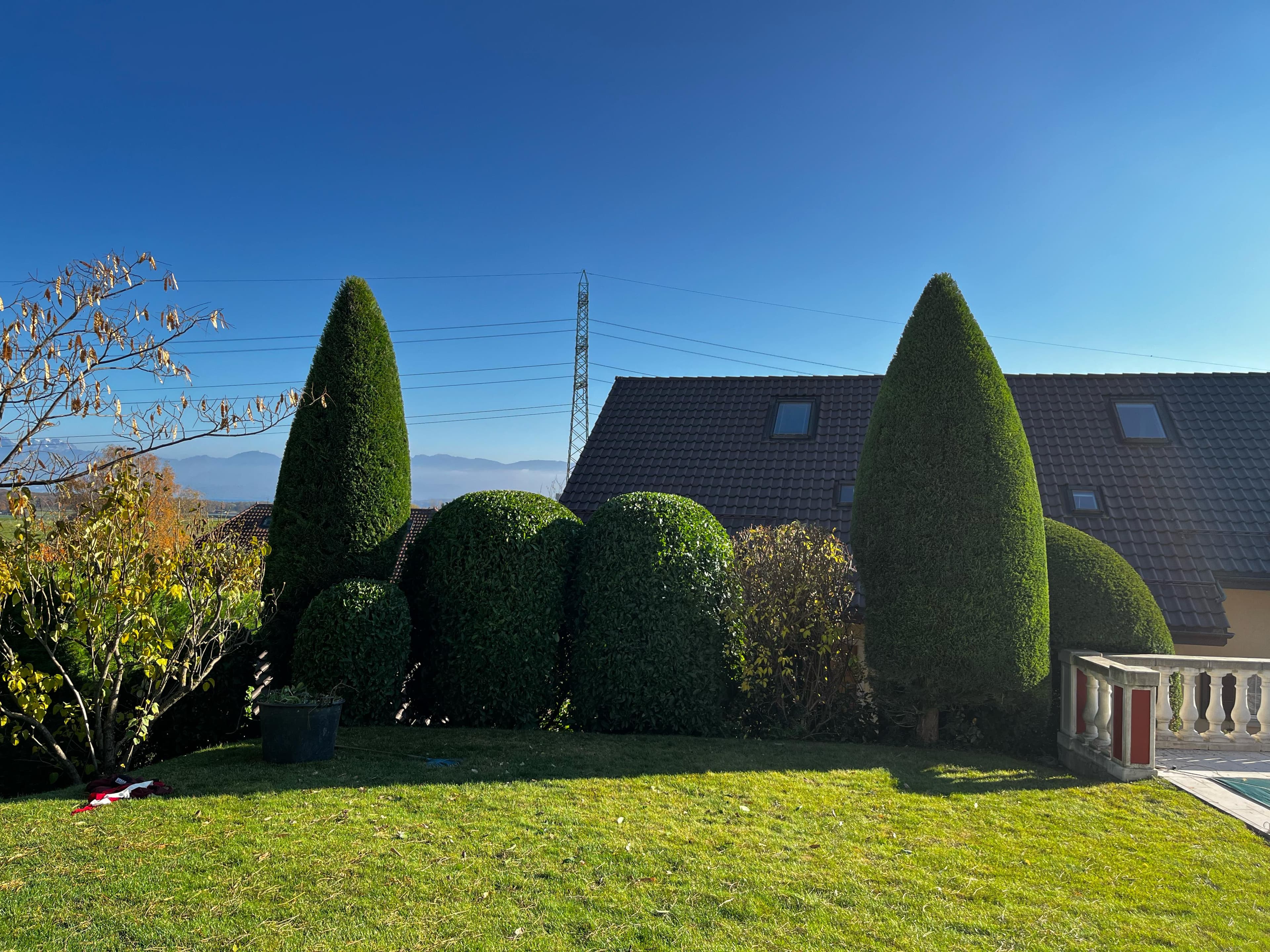 Taille professionnelle de haies - Paysagiste bio Adenia Canton de Vaud