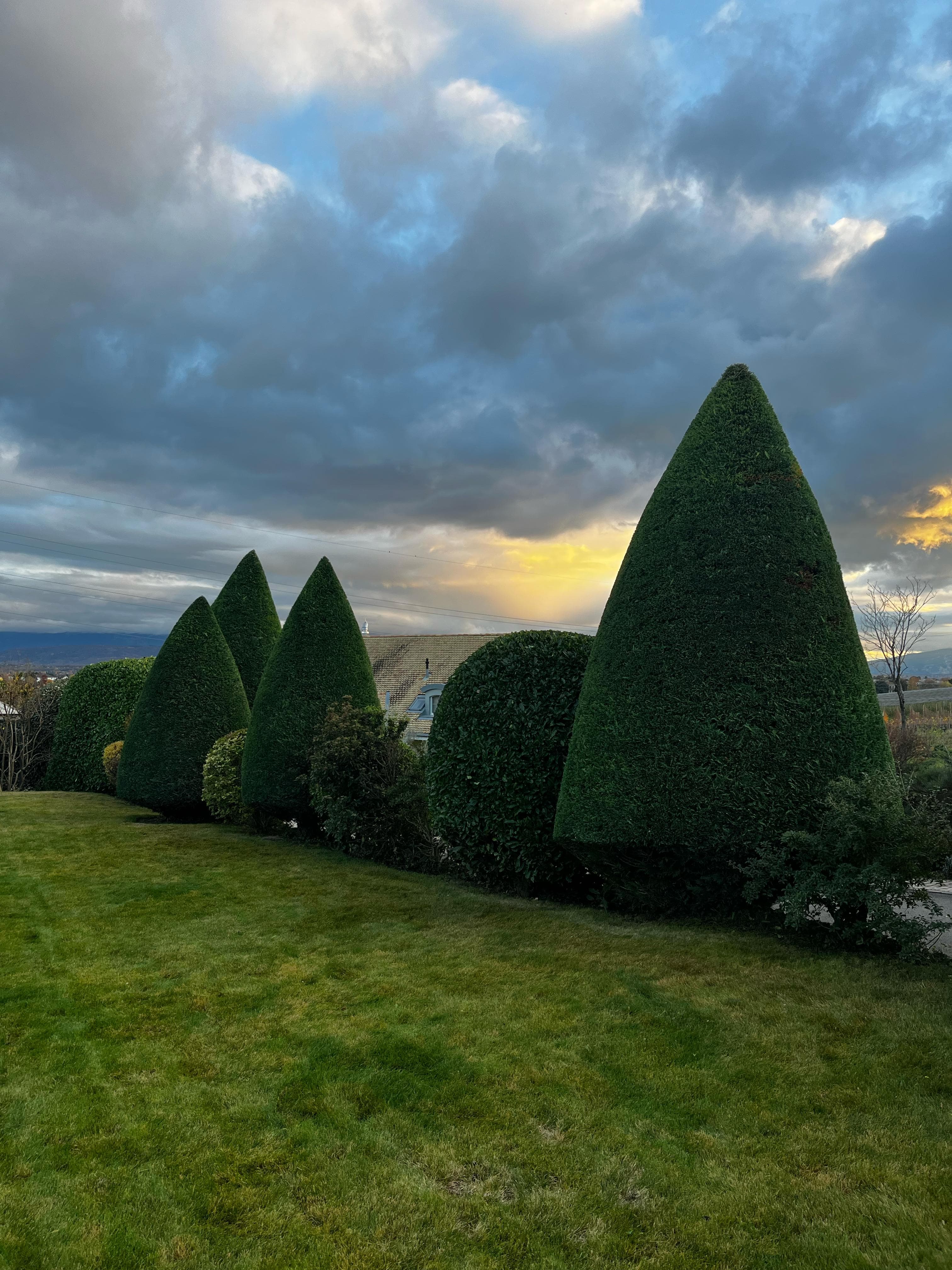 Taille artistique de haies au coucher du soleil - Paysagiste Adenia Lausanne