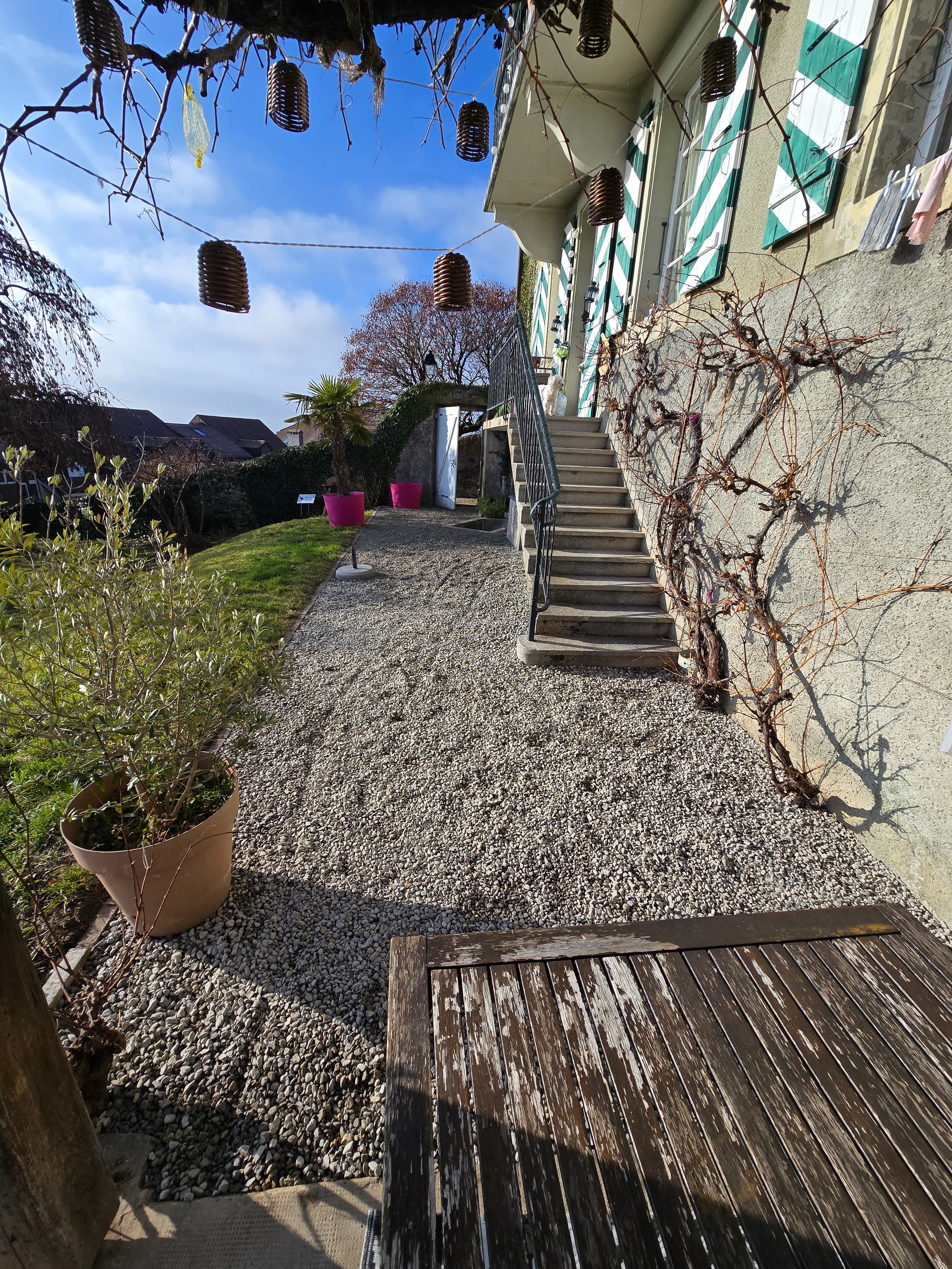 Jardin zen avec gravier décoratif - Design paysager écologique