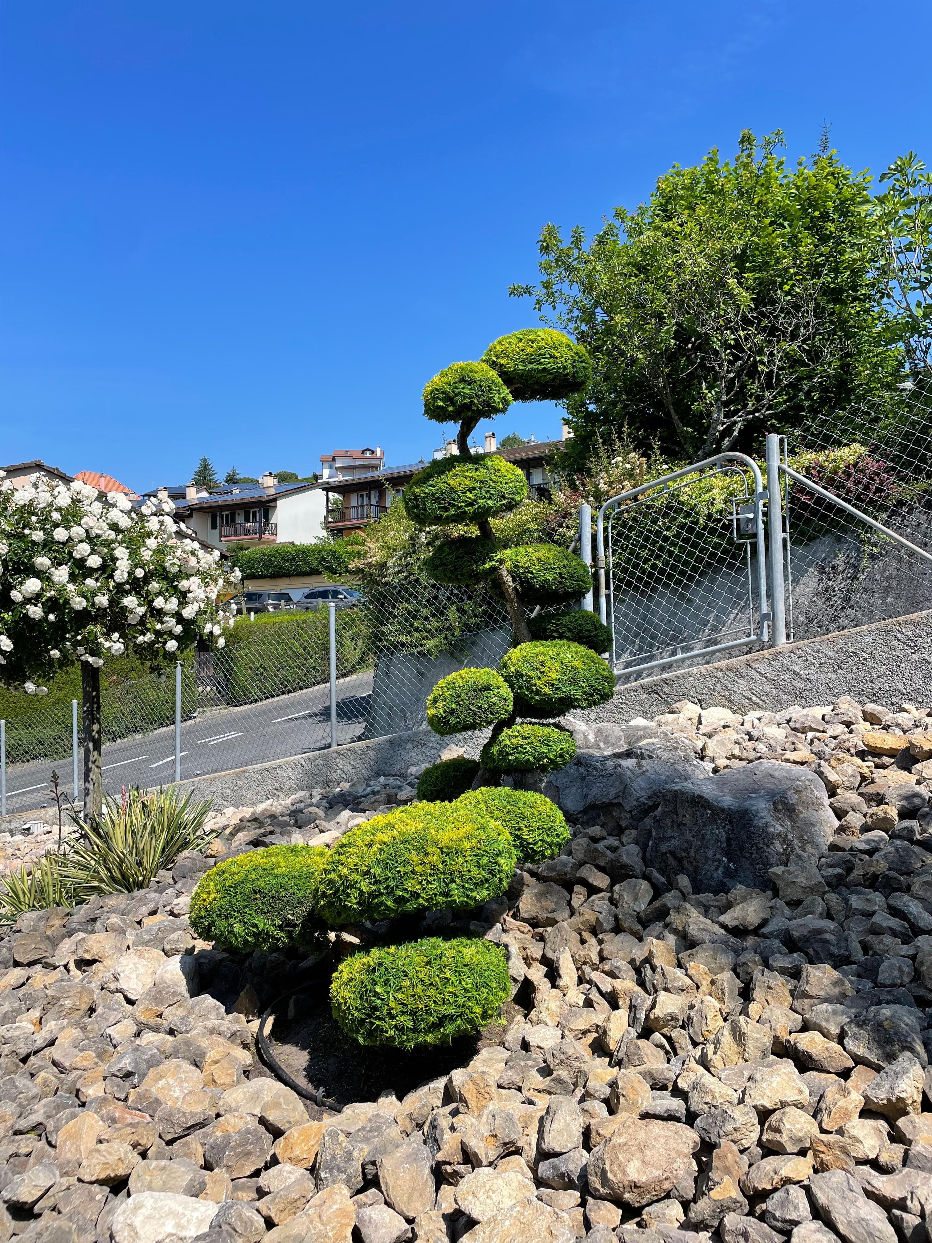 Jardin aménagé par Adenia - Paysagiste biologique certifié en Suisse romande