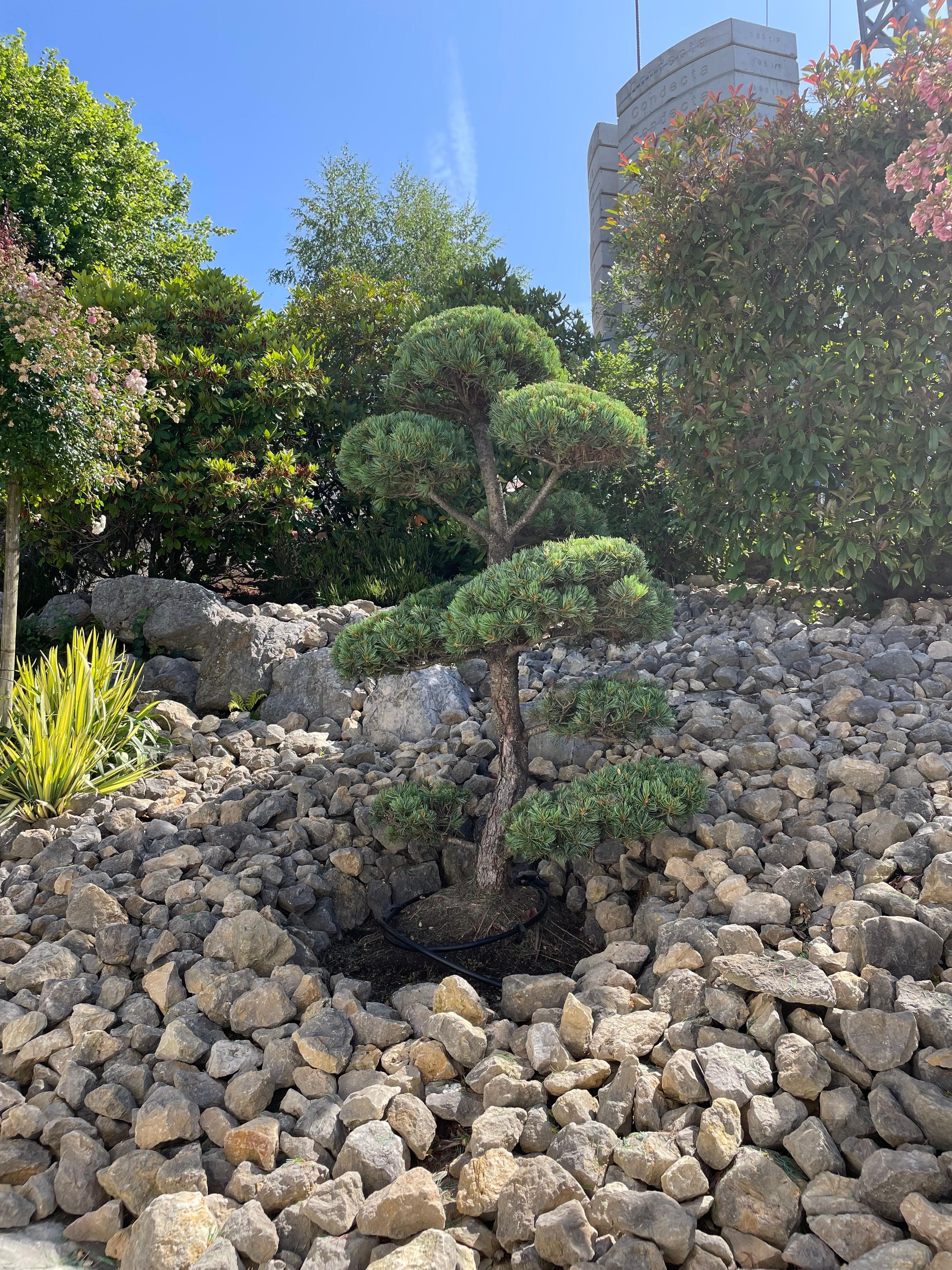 Entretien paysager écologique - Services jardin bio Lausanne et Vaud